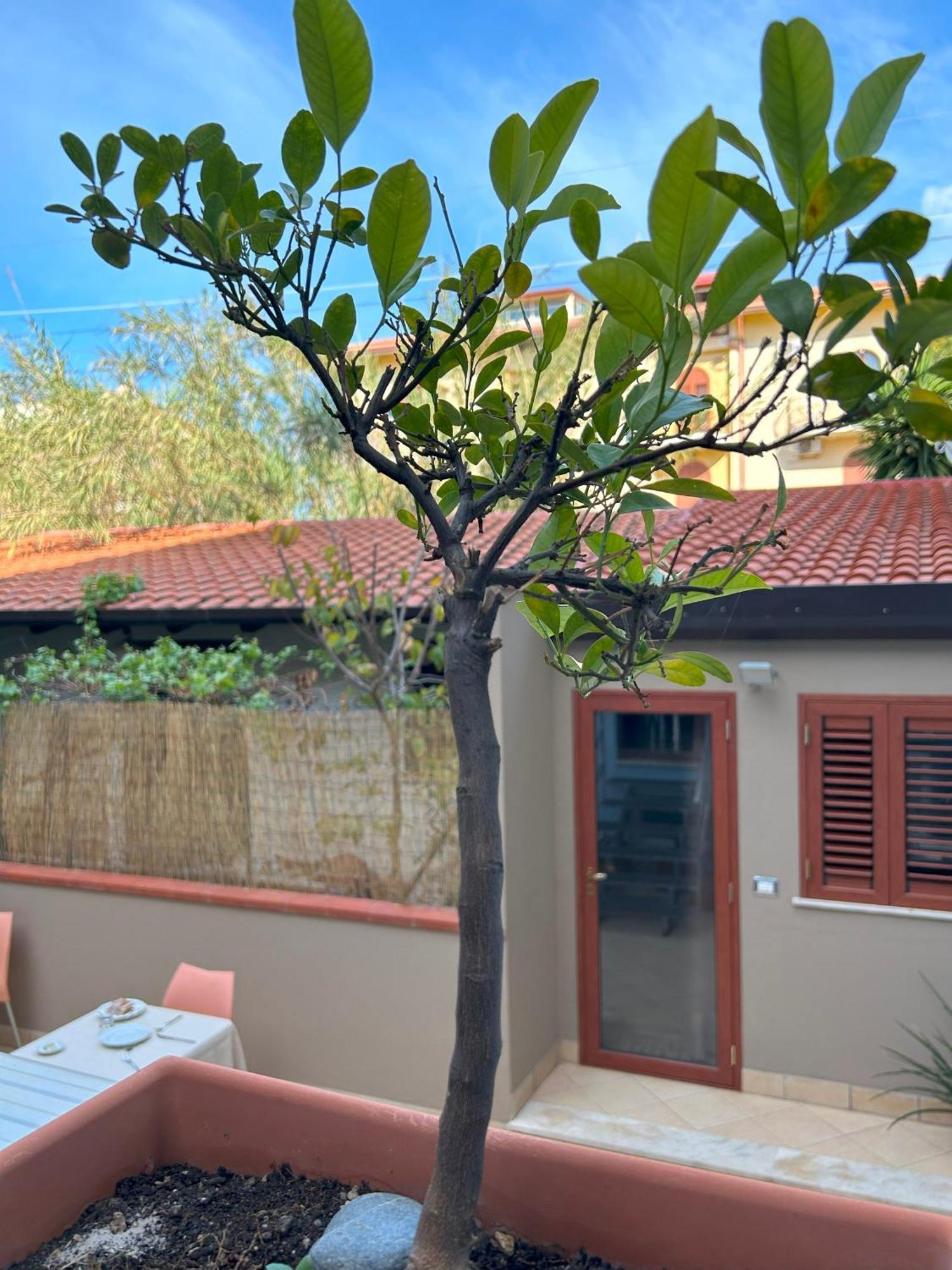 La Piazzetta Bed & Breakfast Giardini Naxos Eksteriør bilde